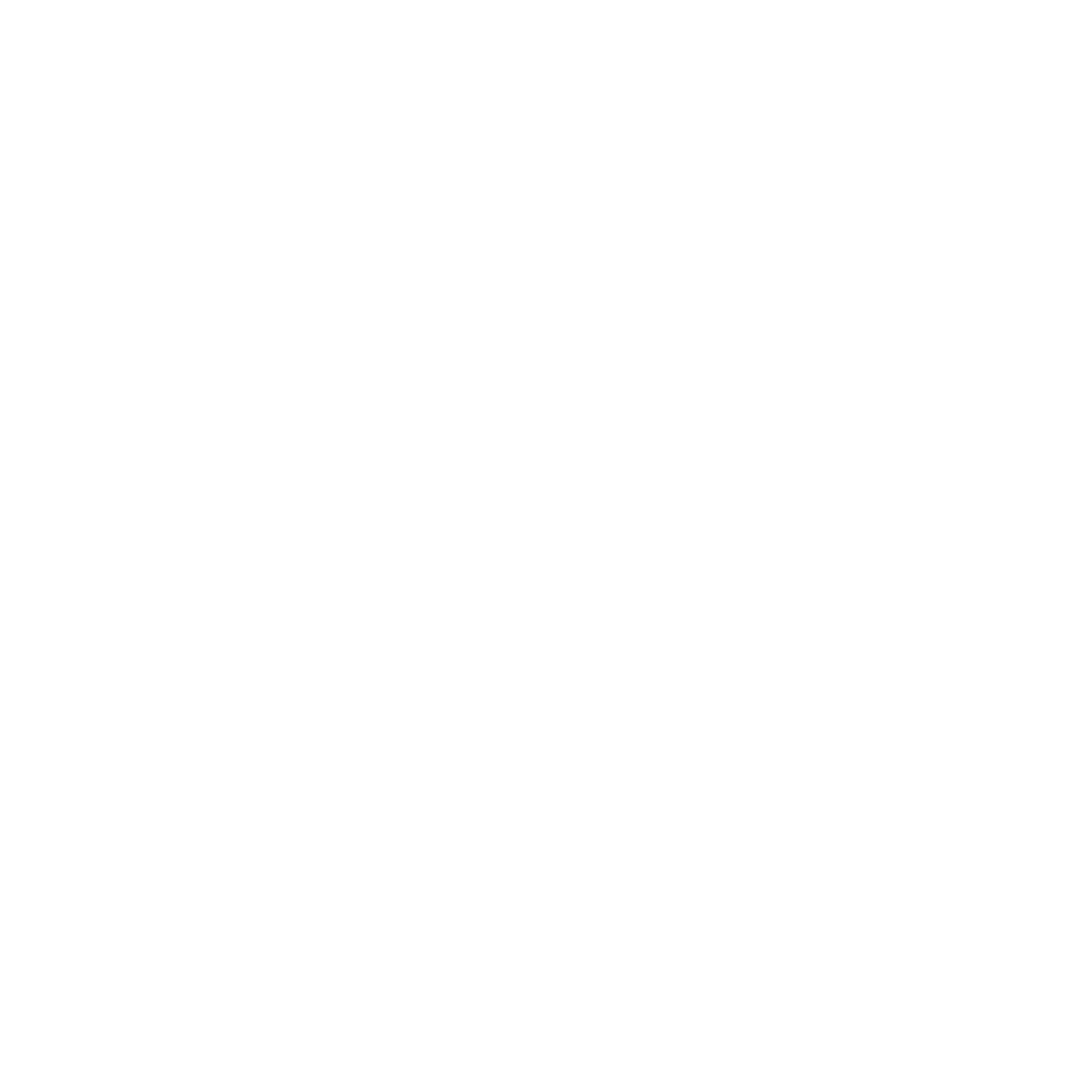 FL Logo WHITE PNG